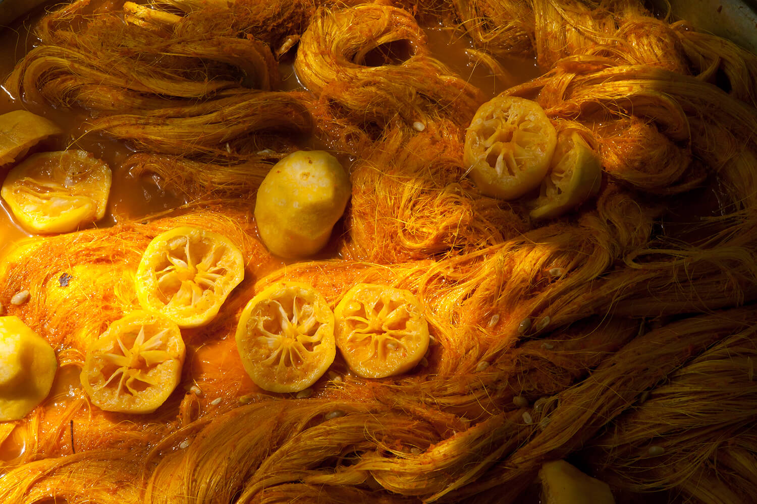 CURCUMA_galeria 25_MG_4609.jpg
